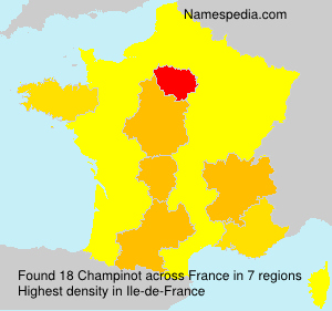Surname Champinot in France
