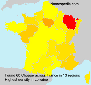 Surname Choppe in France