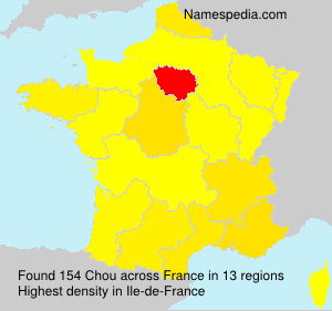 Surname Chou in France