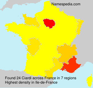 Surname Ciardi in France