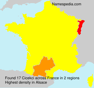 Surname Cicekci in France