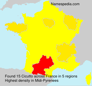 Surname Cicutto in France