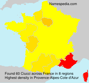 Surname Ciucci in France