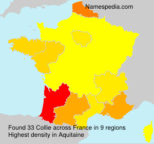 Surname Collie in France