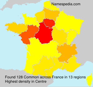 Surname Common in France
