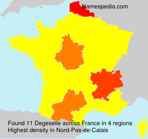 Surname Degeselle in France