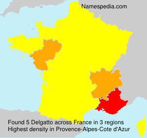 Surname Delgatto in France