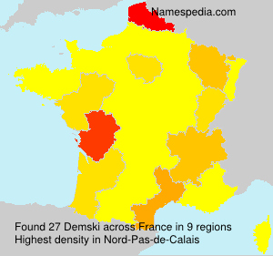 Surname Demski in France
