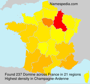 Surname Domine in France