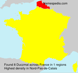 Surname Duczmal in France