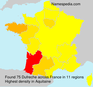 Surname Dufreche in France
