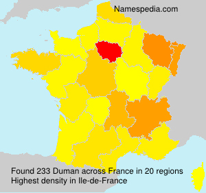 Surname Duman in France