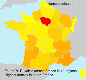 Surname Duvoisin in France