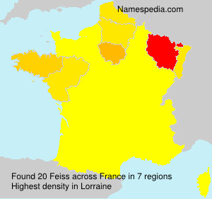 Surname Feiss in France