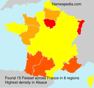 Surname Feissel in France