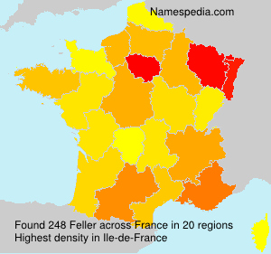 Surname Feller in France