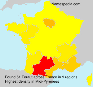 Surname Feraut in France