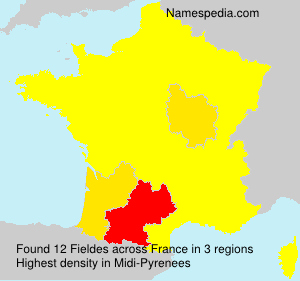 Surname Fieldes in France