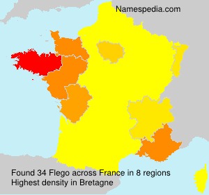 Surname Flego in France