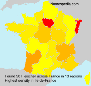 Surname Fleischer in France