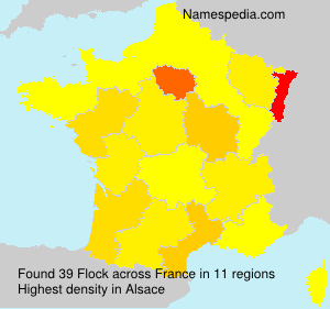 Surname Flock in France