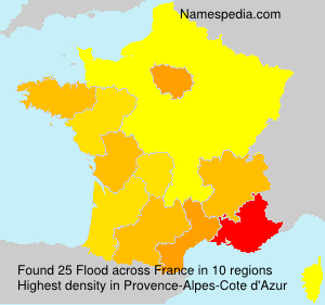 Surname Flood in France