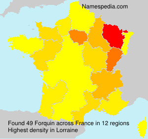 Surname Forquin in France