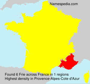 Surname Frie in France