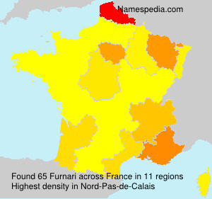 Surname Furnari in France