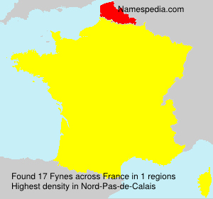 Surname Fynes in France