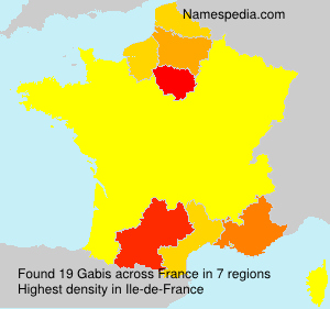 Surname Gabis in France