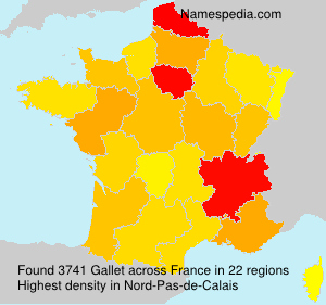 Surname Gallet in France