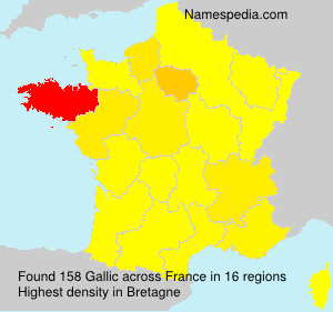 Surname Gallic in France