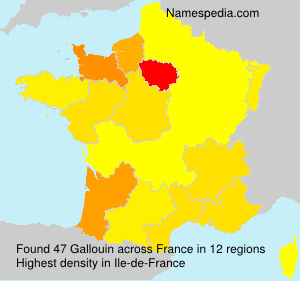 Surname Gallouin in France