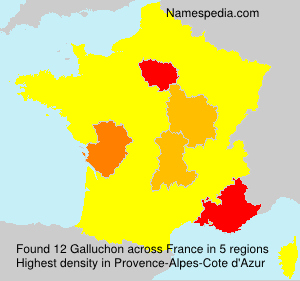 Surname Galluchon in France