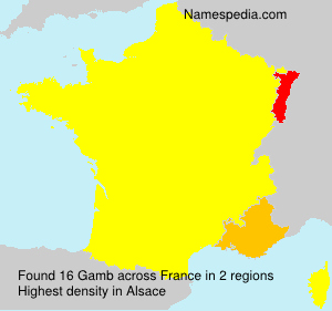 Surname Gamb in France