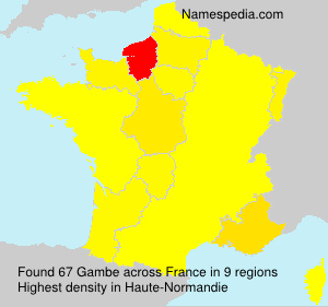 Surname Gambe in France