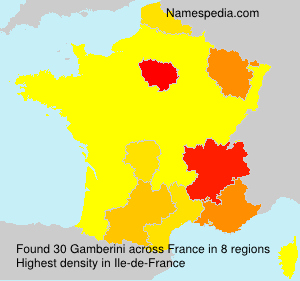 Surname Gamberini in France