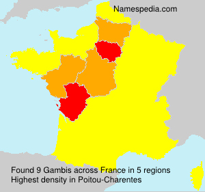 Surname Gambis in France