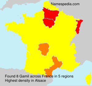 Surname Gamil in France
