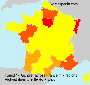 Surname Gangler in France
