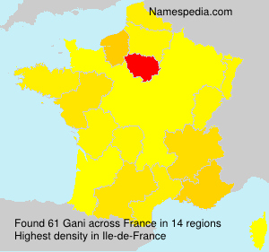 Surname Gani in France