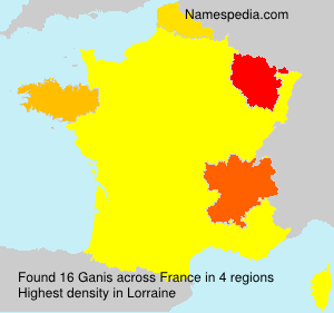 Surname Ganis in France