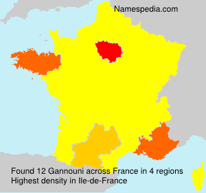 Surname Gannouni in France