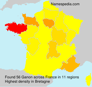 Surname Ganon in France