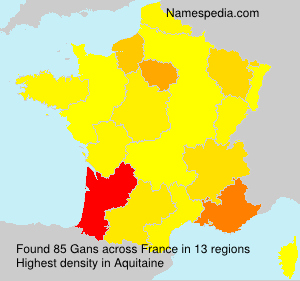 Surname Gans in France