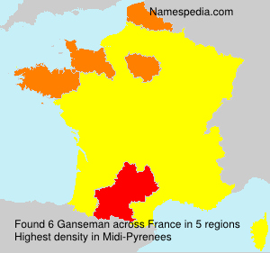 Surname Ganseman in France