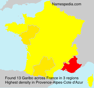 Surname Garibo in France