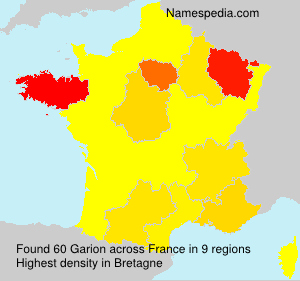 Surname Garion in France