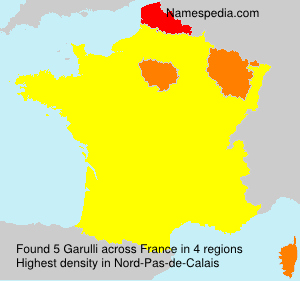 Surname Garulli in France